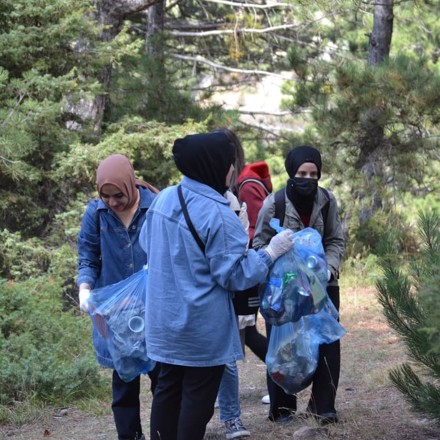 Kestel ormanı çevre temizliği